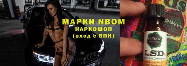 ПСИЛОЦИБИНОВЫЕ ГРИБЫ Арсеньев