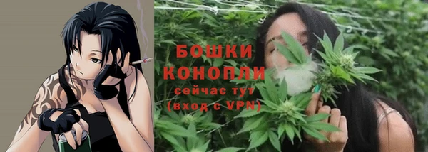 ПСИЛОЦИБИНОВЫЕ ГРИБЫ Арсеньев