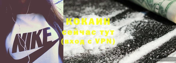 ПСИЛОЦИБИНОВЫЕ ГРИБЫ Арсеньев