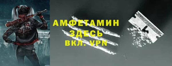 ПСИЛОЦИБИНОВЫЕ ГРИБЫ Арсеньев