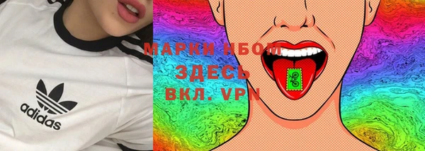 ПСИЛОЦИБИНОВЫЕ ГРИБЫ Арсеньев