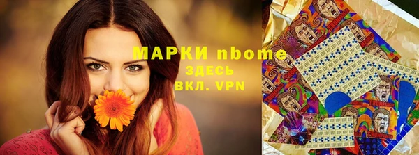 ПСИЛОЦИБИНОВЫЕ ГРИБЫ Арсеньев