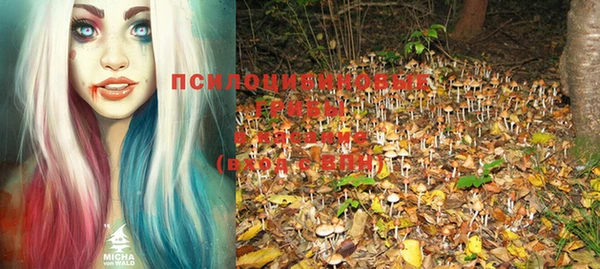 хмурый Армянск