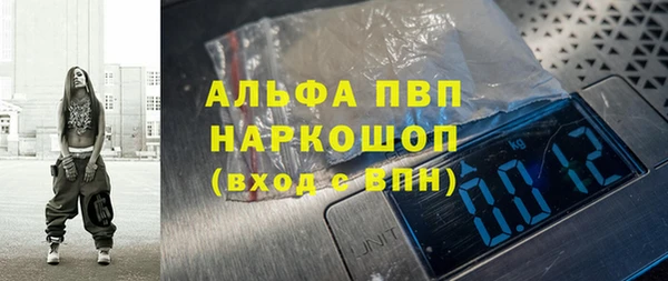 ПСИЛОЦИБИНОВЫЕ ГРИБЫ Покров